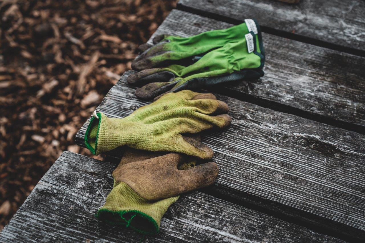 image of gardener gloves